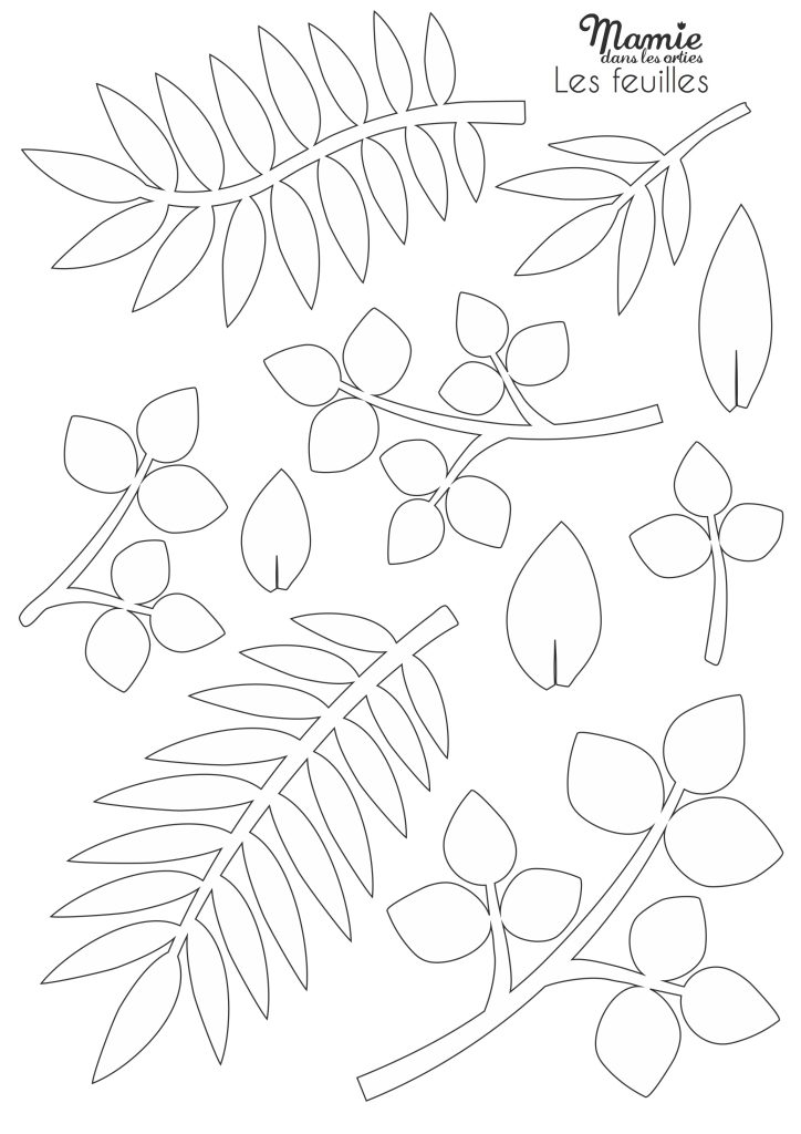 feuilles diy gratuit